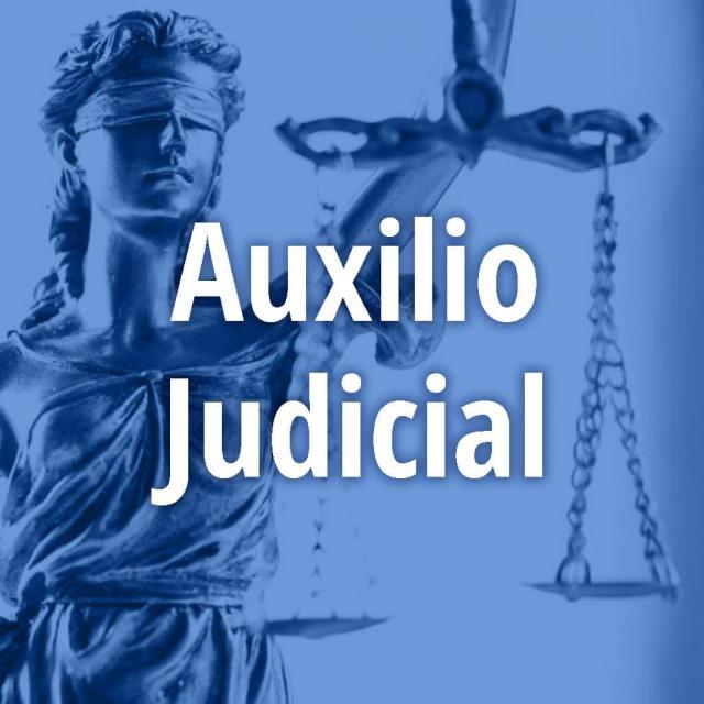 Temario Auxilio judicial