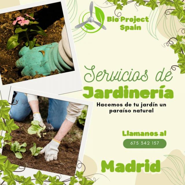 Transforma tu jardín en un oasis verde