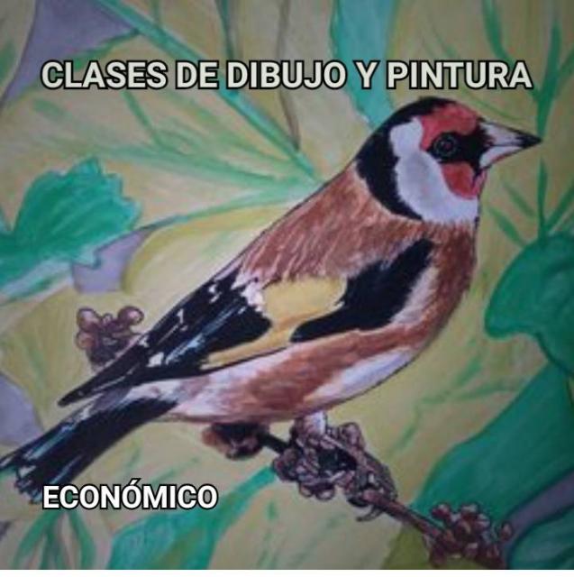 CLASES PARTICULARES DE DIBUJO Y PINTURA