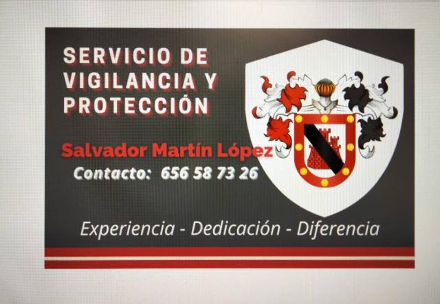 Servicios profesionales, Vigilancia, protección y seguridad