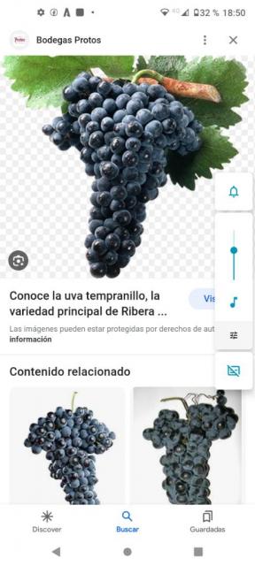 Venta de uva para hacer vino