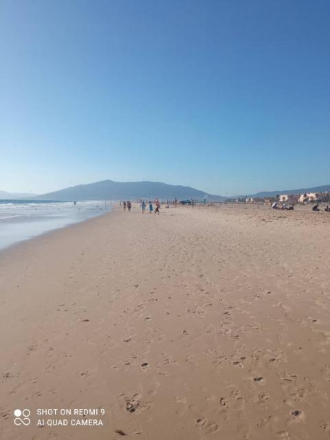 Estepona Málaga  jardín de la Costa del Sol