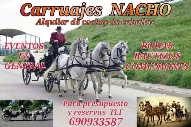 Carruaje, coche de caballos Nacho