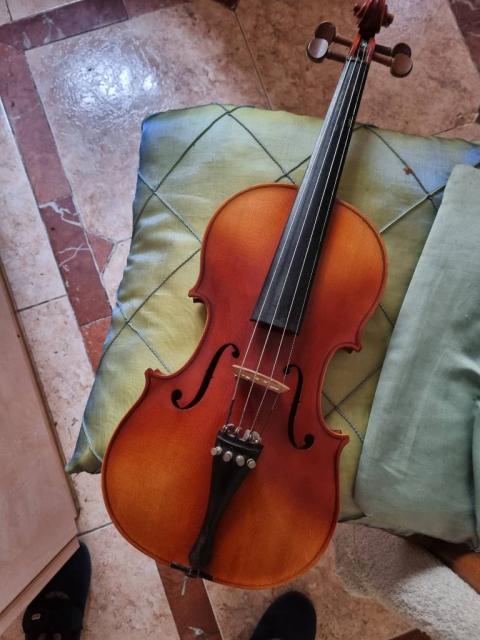 Violin venta